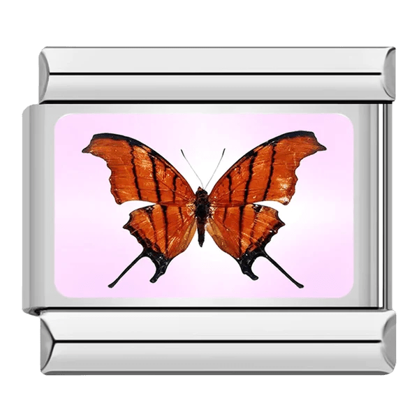 Kelebek