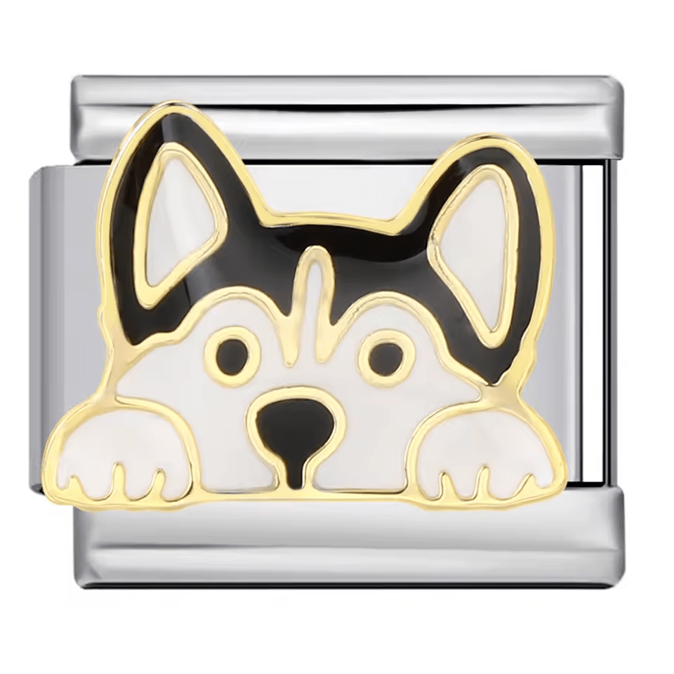 Köpek