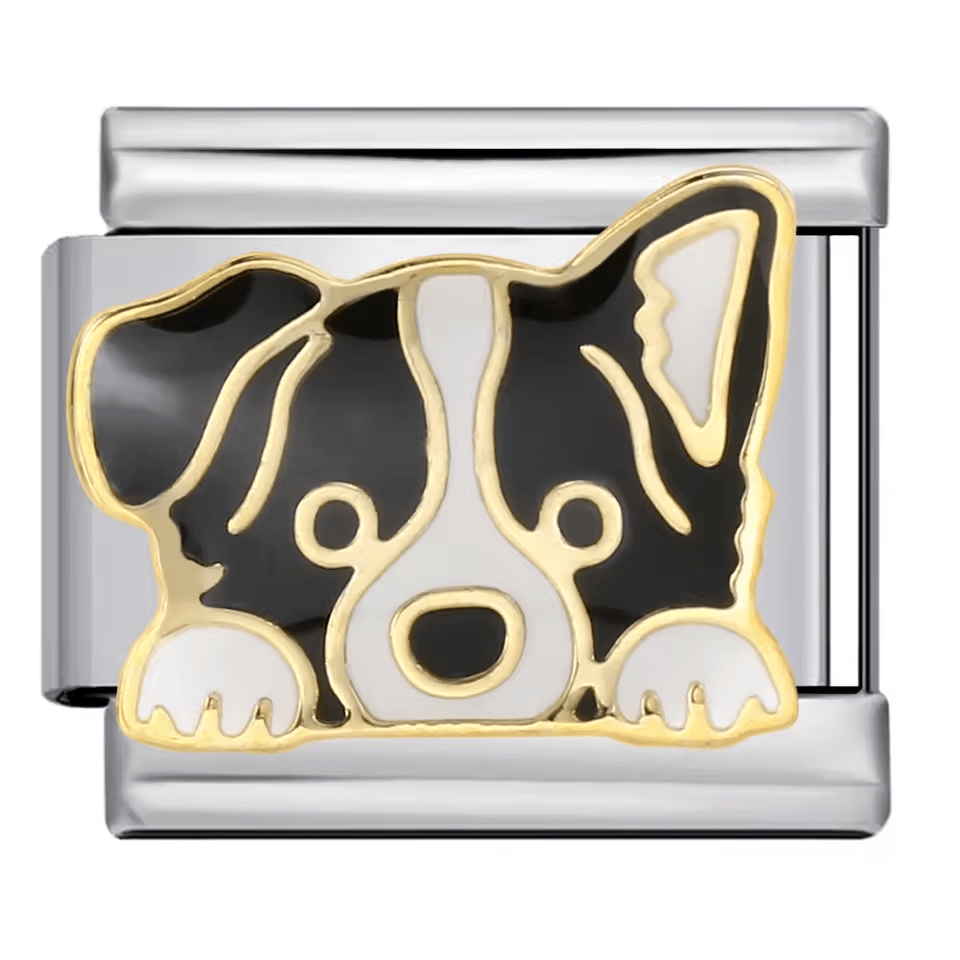 Köpek