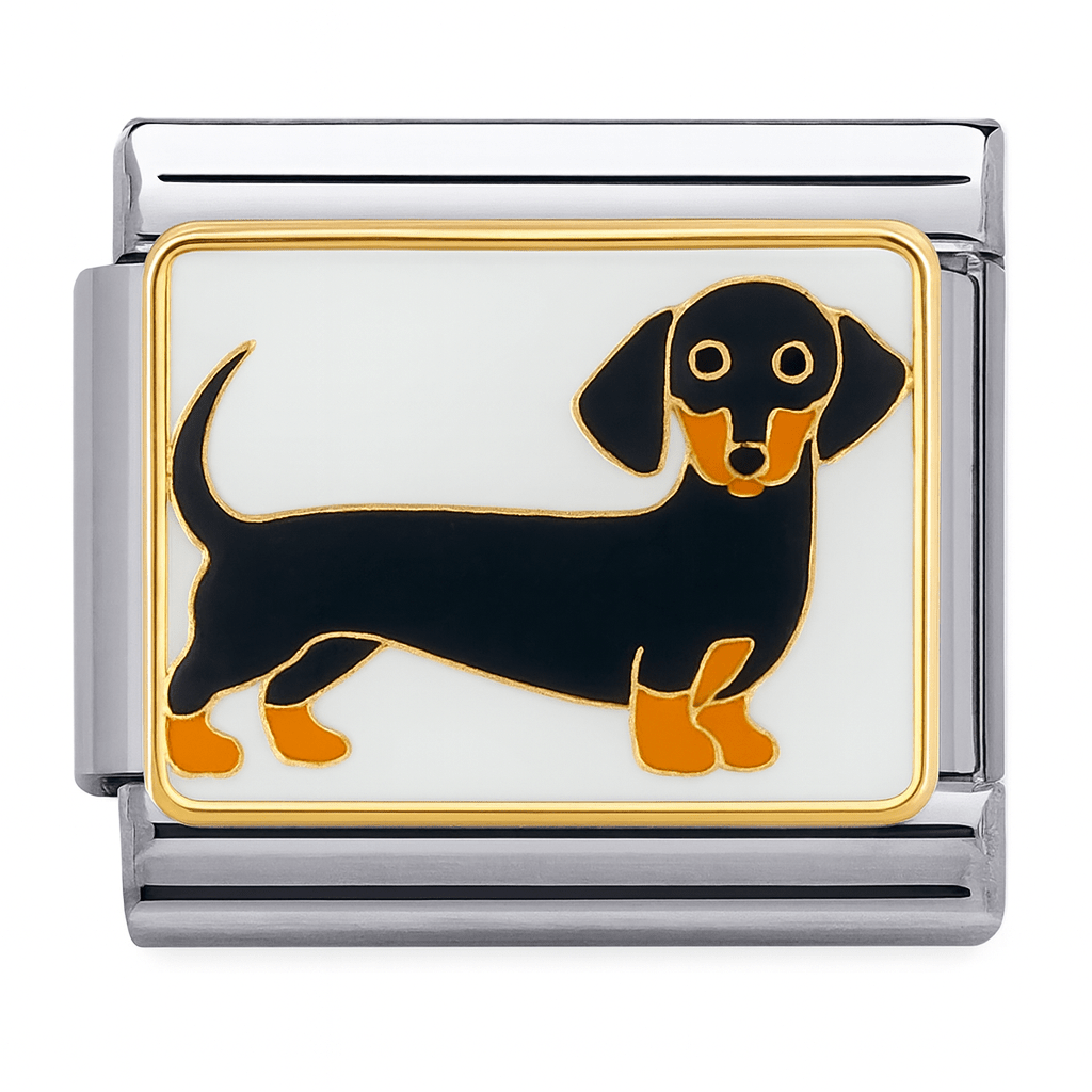 Weiner köpeği