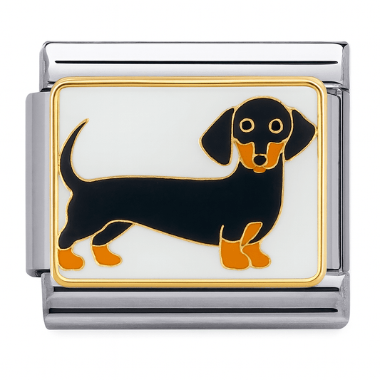 Weiner köpeği