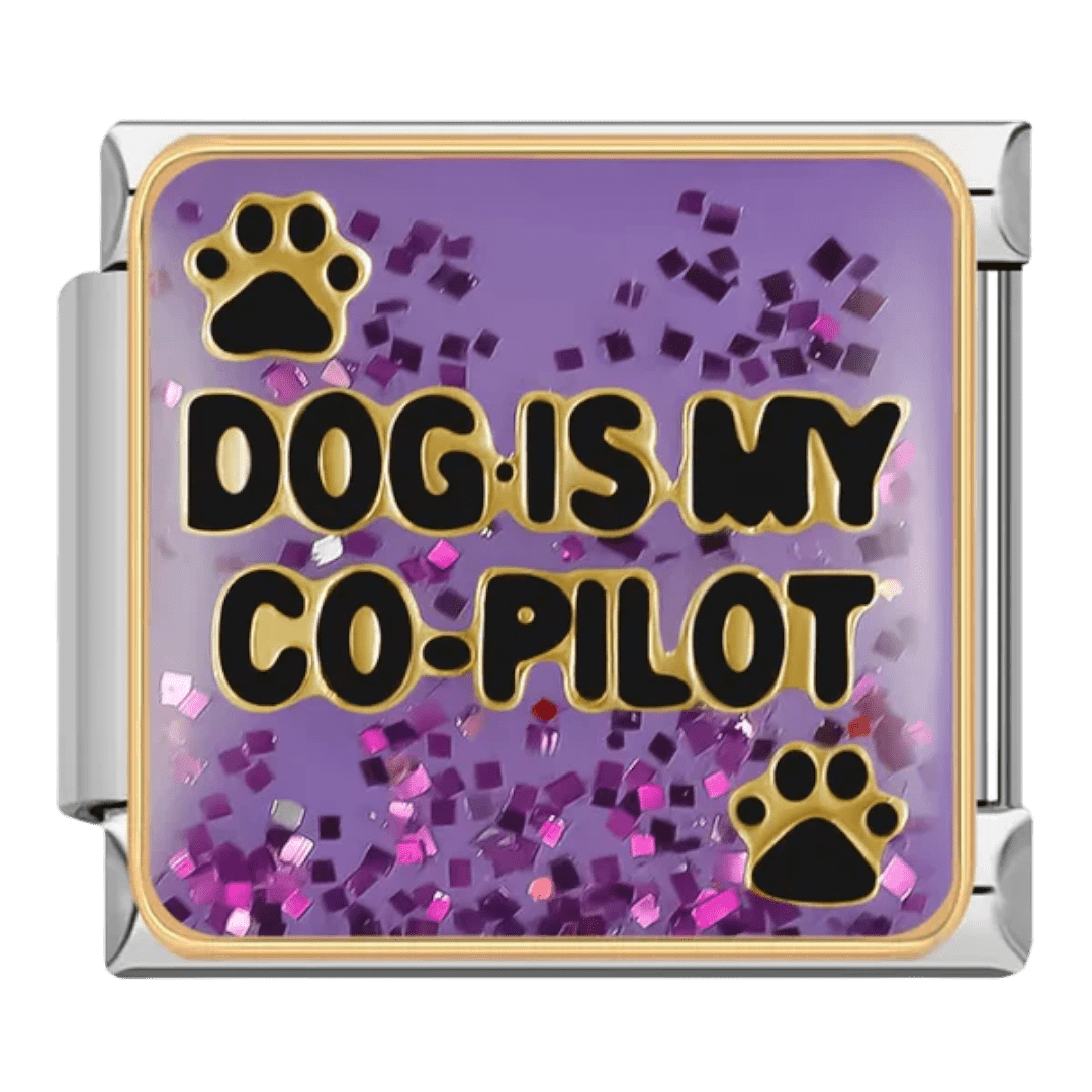 Köpek benim yardımcı pilotum