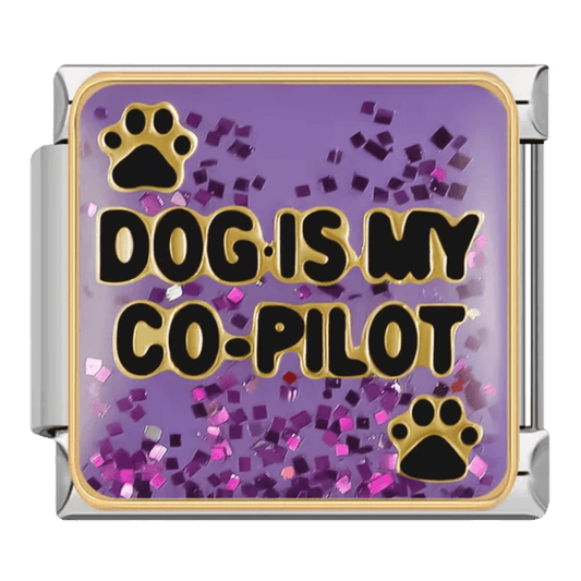 Köpek benim yardımcı pilotum