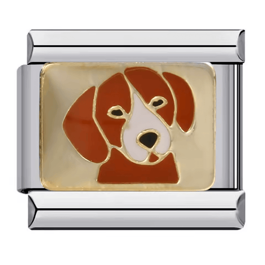 Köpek