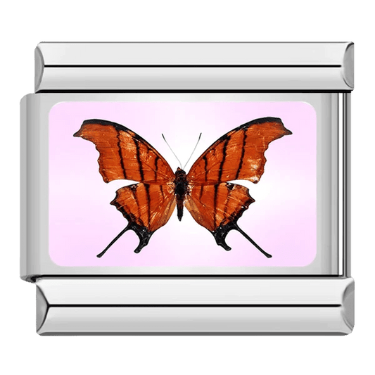 Kelebek