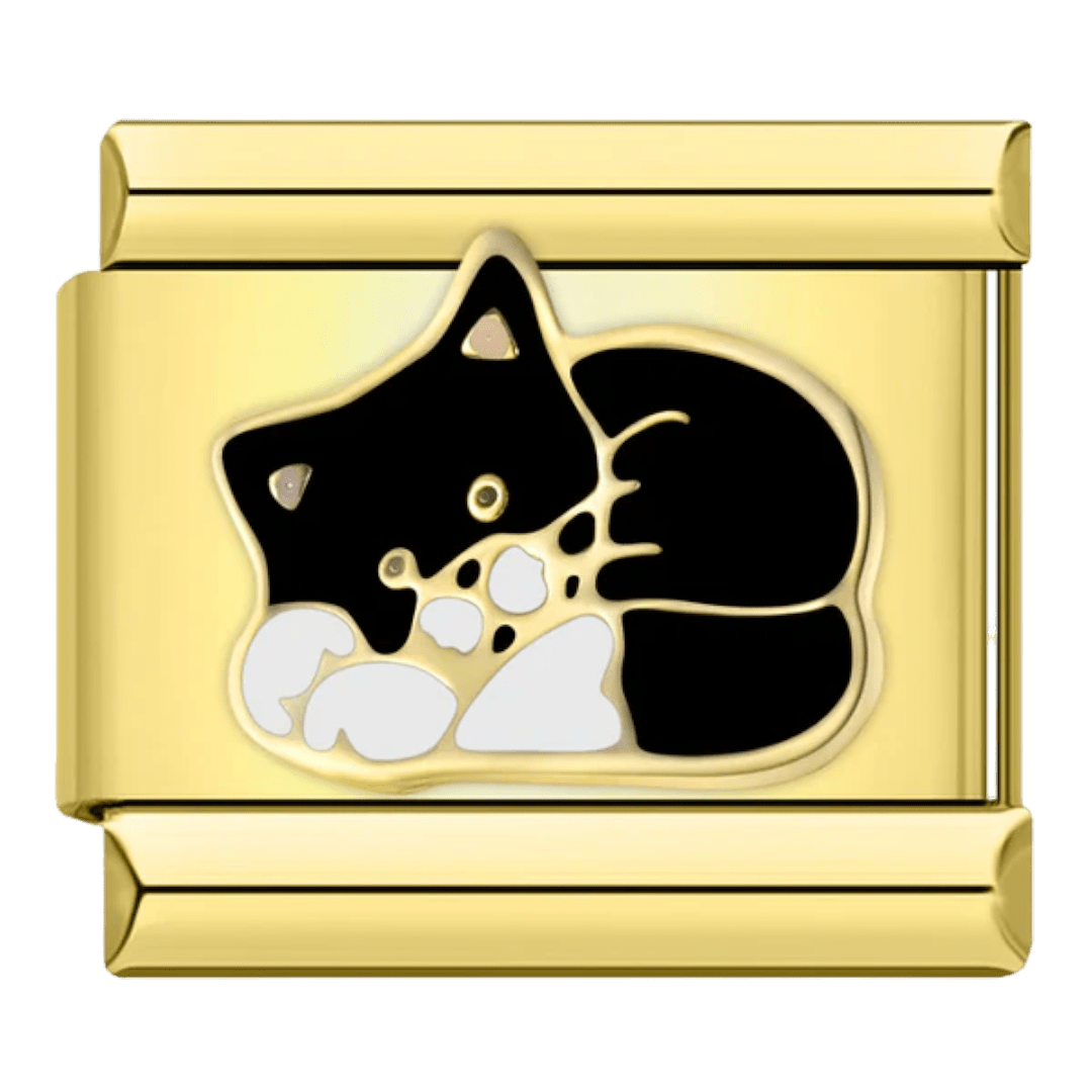 Kedi
