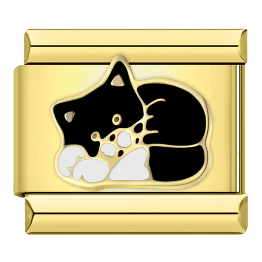 Kedi