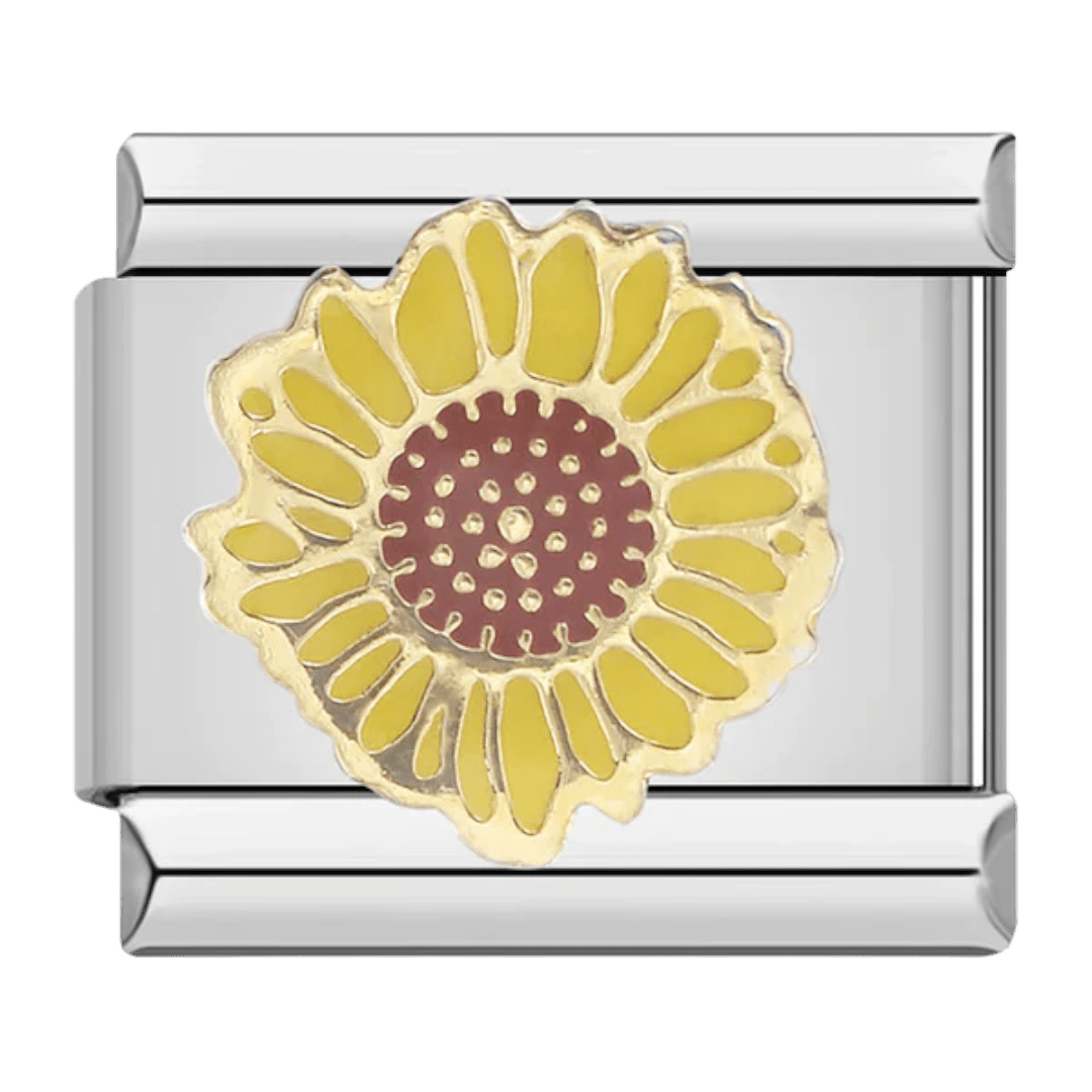 Ayçiçeği
