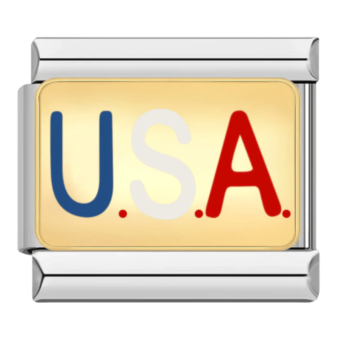 AMERİKA