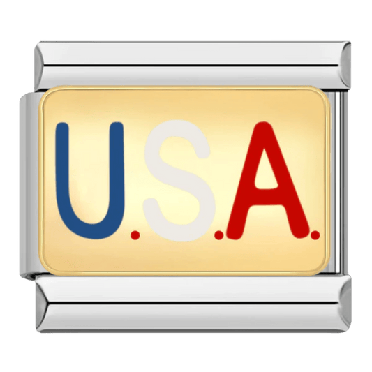 AMERİKA